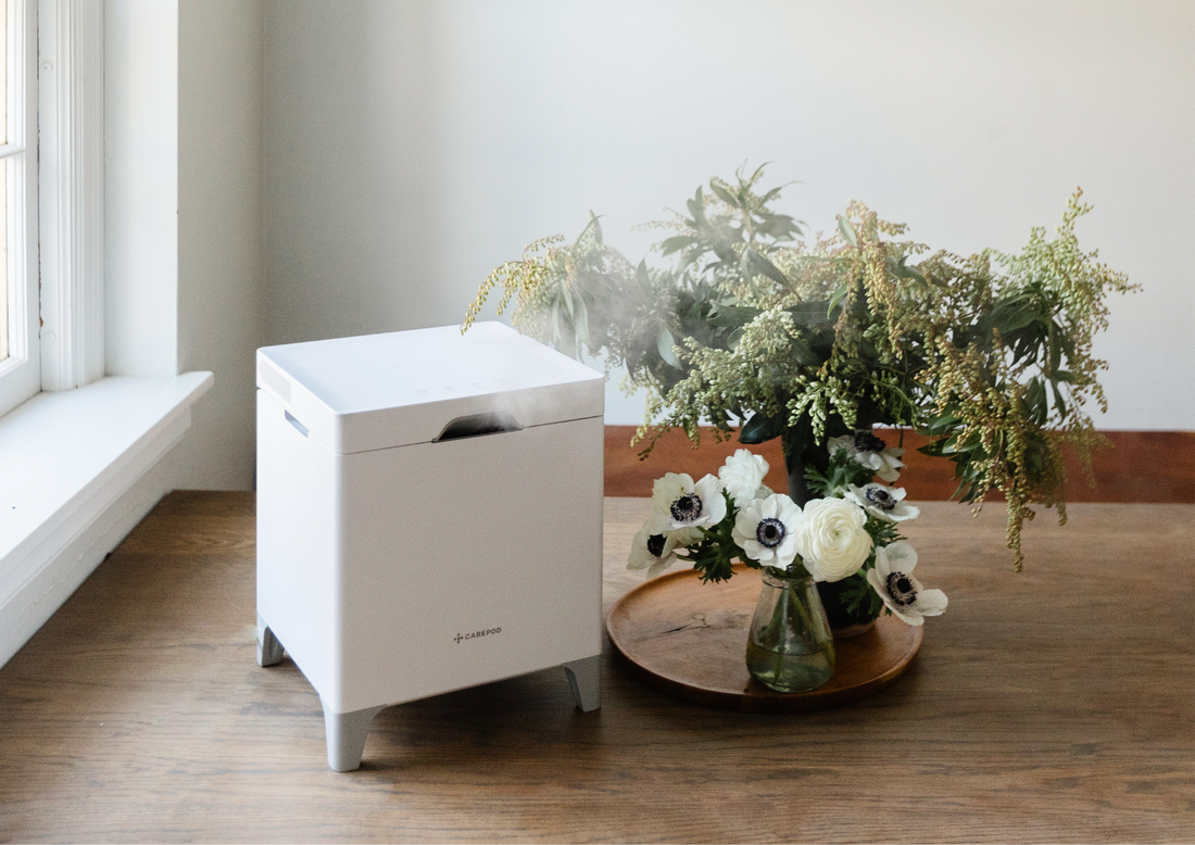 Can a Humidifier Help with Allergies?