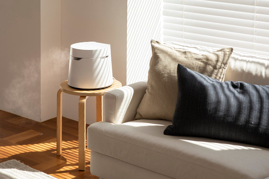 5 Extraordinary Benefits of Humidifiers