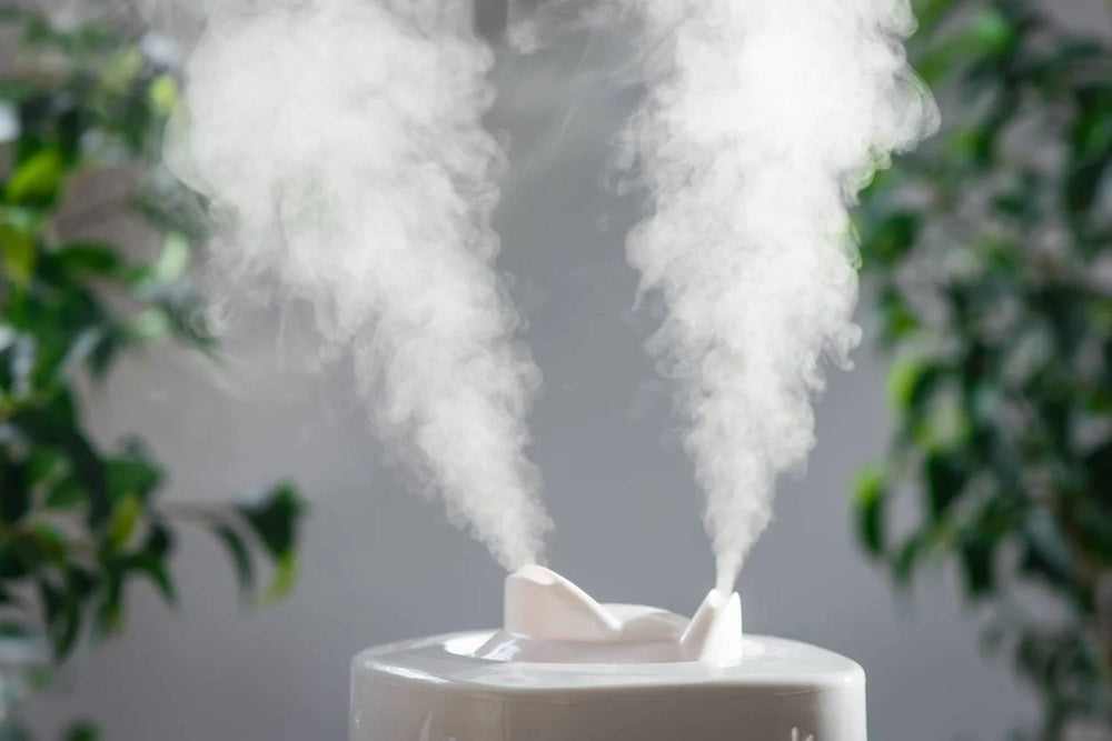 Do Humidifiers Cause Mold?