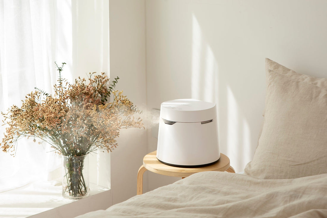 Why Do I Need A Humidifier For The Fall?